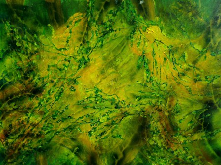 Feenwald   60/80   Öl auf Keilfahmen   90€